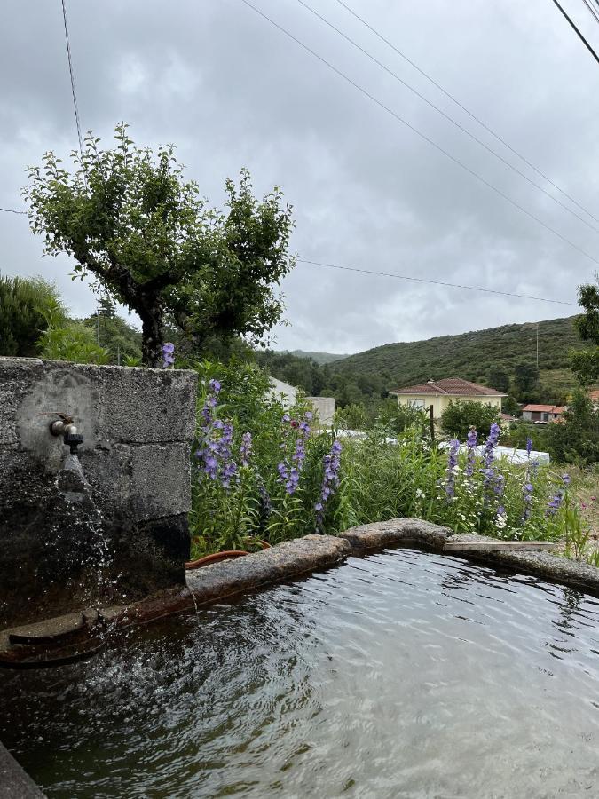Ferienhaus Benfeito *