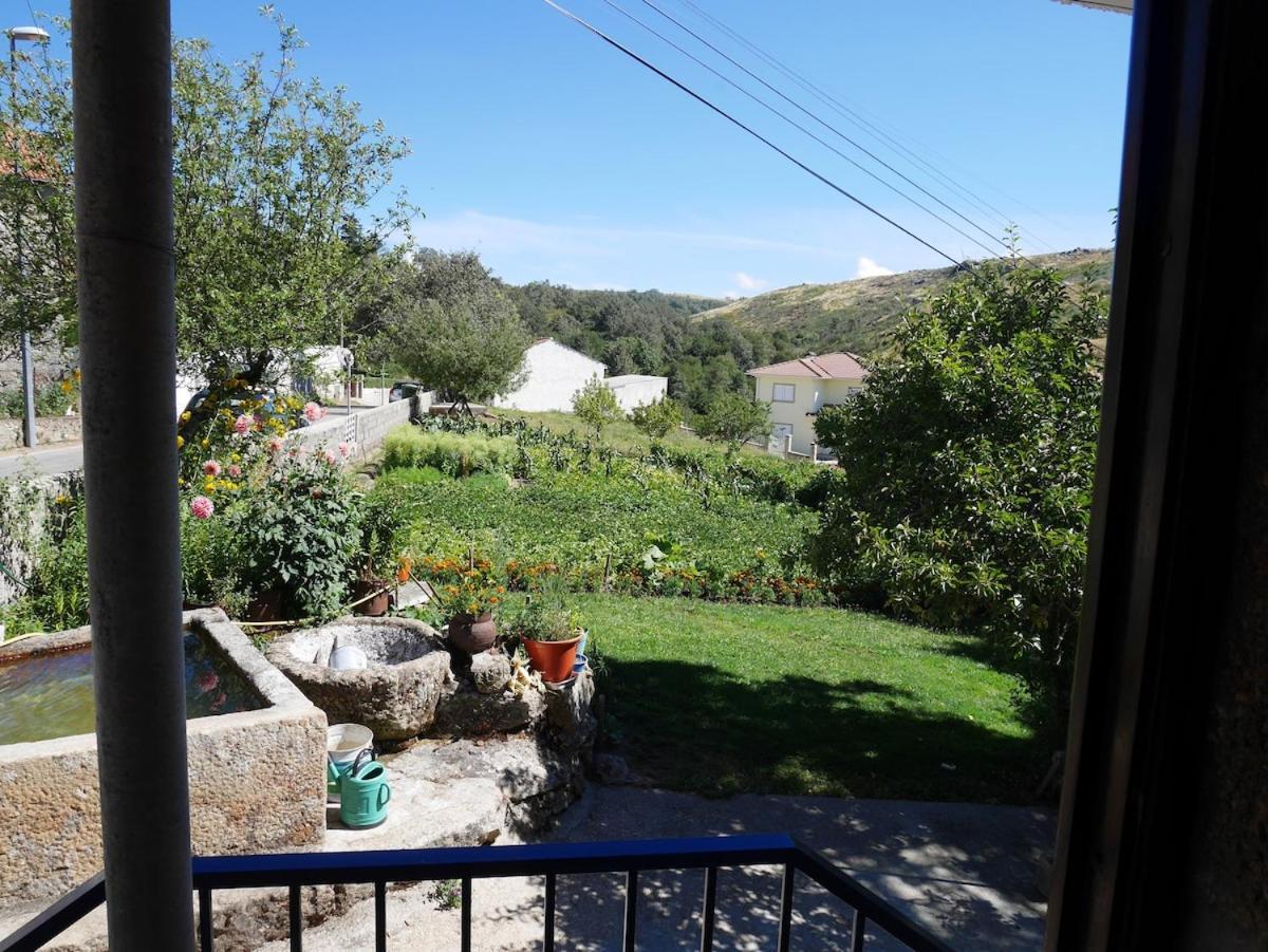 Benfeito Holiday home