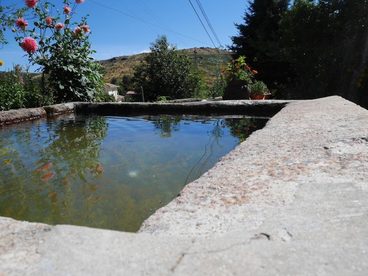 Benfeito * Campo Benfeito